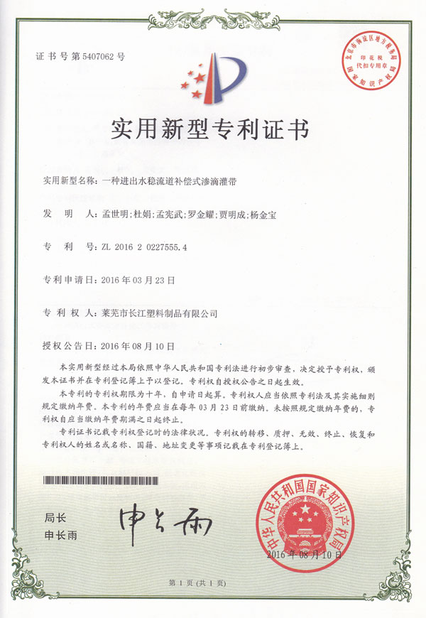 一種進出水穩(wěn)流道補償式滲滴灌帶